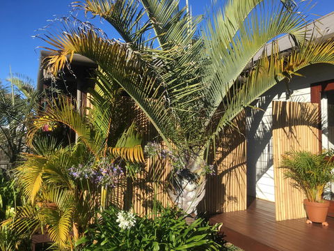 Bella Bali Gardens - Tourism Noosa 7
