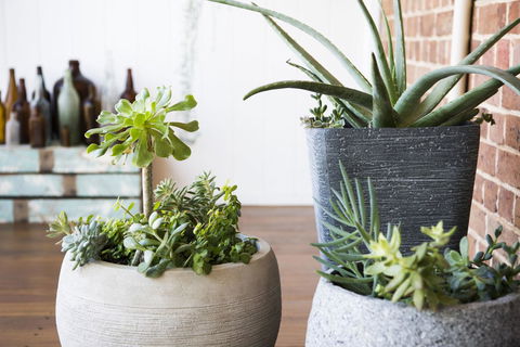 The Parkview Hotel Mudgee - Tourism Noosa 35