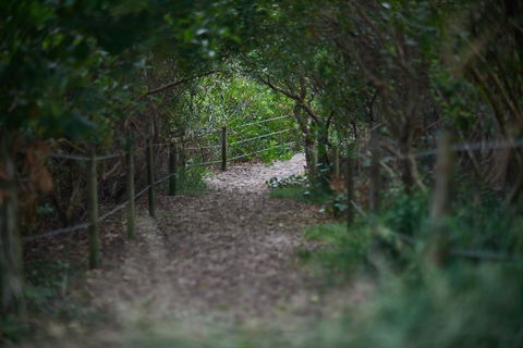 Ingenia Holidays Byron Bay - Tourism Noosa 15