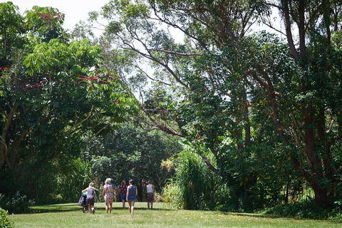 Ingenia Holidays Byron Bay - Tourism Noosa 11