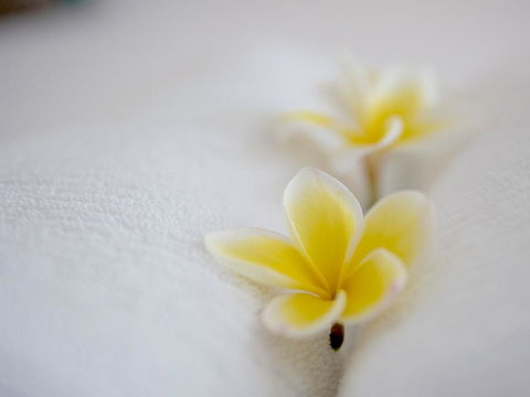 Cossies By The Sea - Tourism Noosa 16