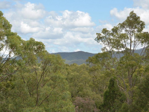 Villa Executive 2br Cypress DS Located Within Cypress Lakes Resort - Tourism Noosa 8