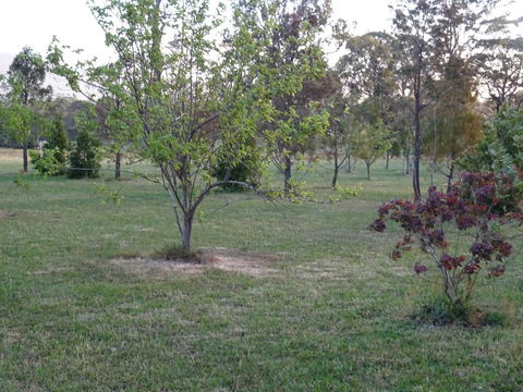 Romanz In The Valley (Luxury B&B) - Tourism Noosa 32