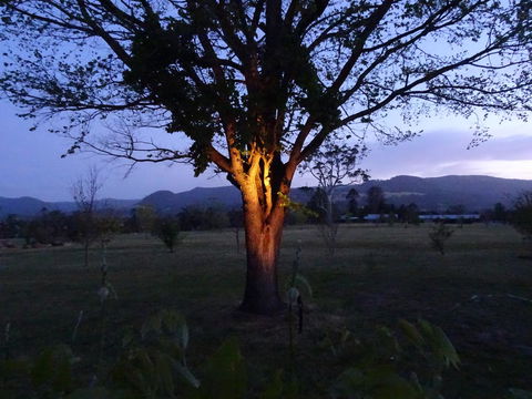 Romanz In The Valley (Luxury B&B) - Tourism Noosa 36