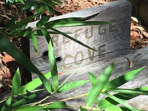 Refuge Cove On Pittwater - Tourism Noosa 12