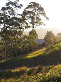 Book Bawley Point Accommodation Vacations Tourism Noosa Tourism Noosa