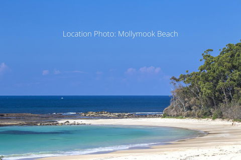 Beachfront 2 - Tourism Noosa 20