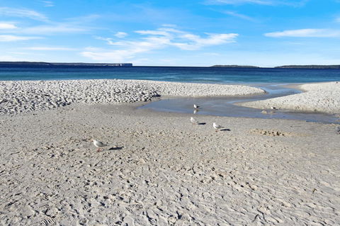 Huskisson Holiday Motel Cabins - Tourism Noosa 21