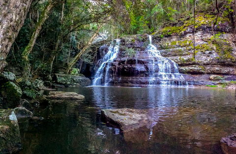 Sinclairs Country Retreat - Tourism Noosa 13