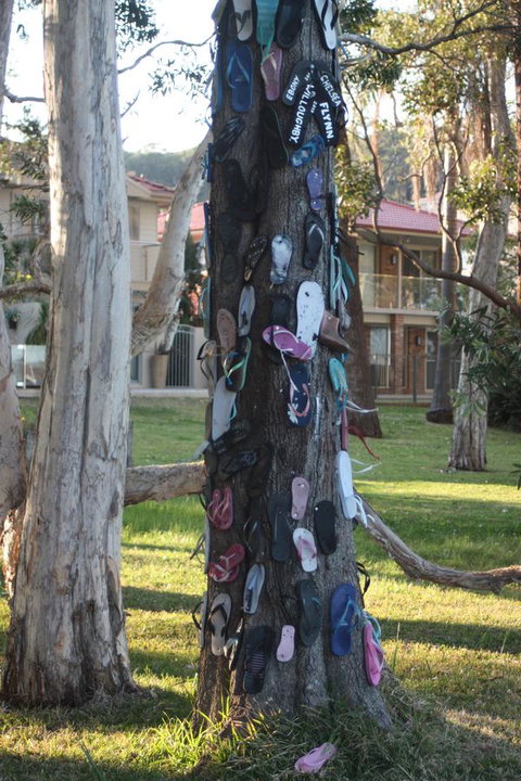 Ambience - Tourism Noosa 33