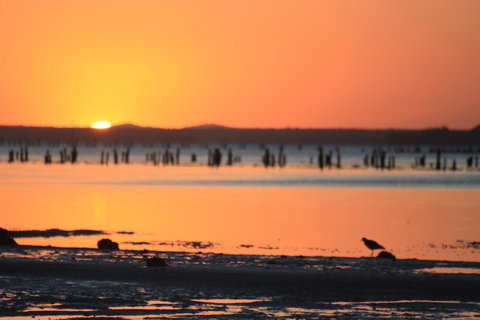 Ambience - Tourism Noosa 35