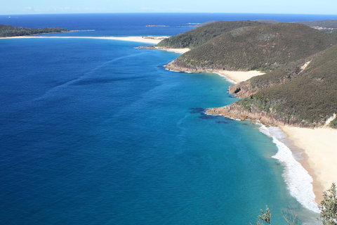 Ambience - Tourism Noosa 29