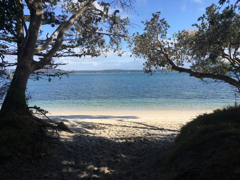 Ambience - Tourism Noosa 1