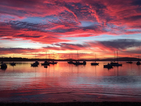 Ambience - Tourism Noosa 0