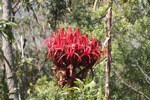 Ambience - Tourism Noosa 30