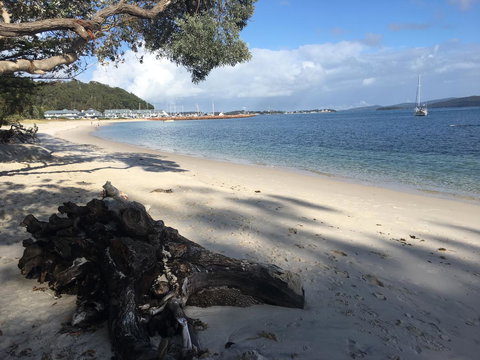 Ambience - Tourism Noosa 28