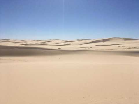 Ambience - Tourism Noosa 34