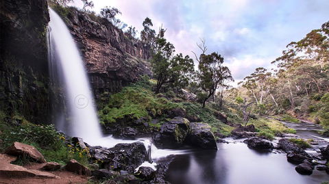 Pound Creek Gallery - Tourism Noosa 14