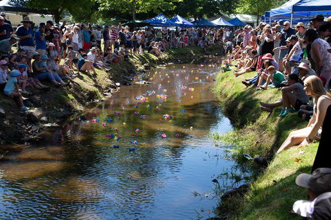 Pound Creek Gallery - Tourism Noosa 15