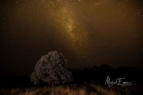 Pound Creek Gallery - Tourism Noosa 12