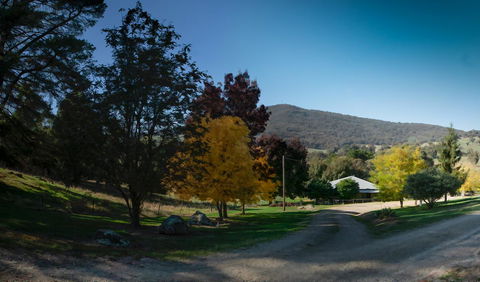 Pound Creek Gallery - Tourism Noosa 7