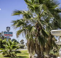 Allonville Gardens Motel - Tourism Noosa
