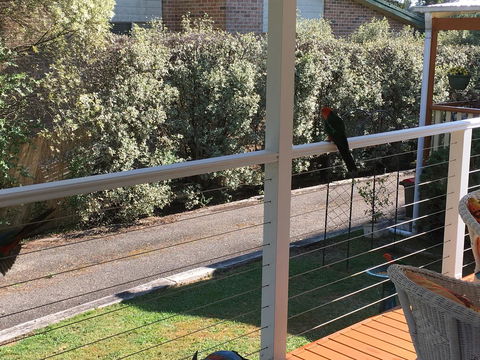 The Best Exotic Magnolia Cottage - Tourism Noosa 15