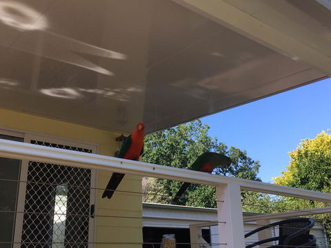 The Best Exotic Magnolia Cottage - Tourism Noosa 11