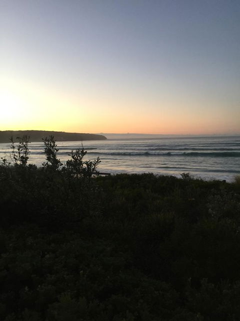 Seachange 3 - Tourism Noosa 9