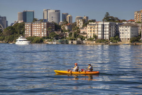 Summery, Spacious 4 Bed Home In Kurraba Point - Tourism Noosa 19