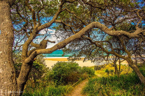 Valla's Beach House - Tourism Noosa 2