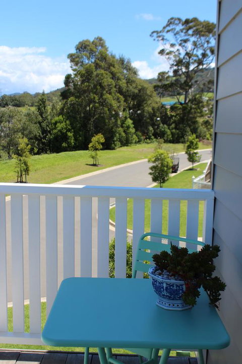 Red Waratah - Tourism Noosa 1