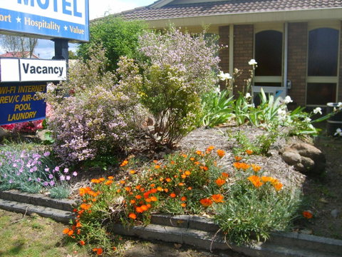Albury City Motel - Tourism Noosa 29