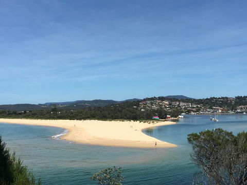Black Dolphin Resort Motel & Apartments - Tourism Noosa 7