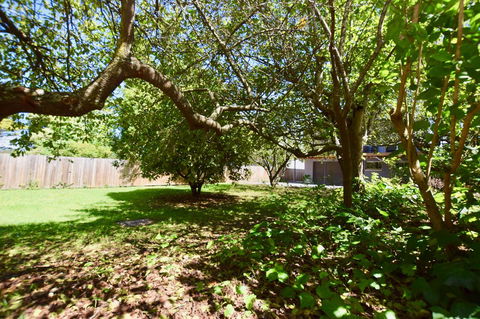 Wildlife Lodge Katoomba - Tourism Noosa 26