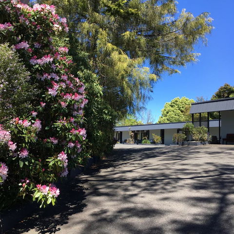 Sky Rider Motor Inn - Tourism Noosa 24