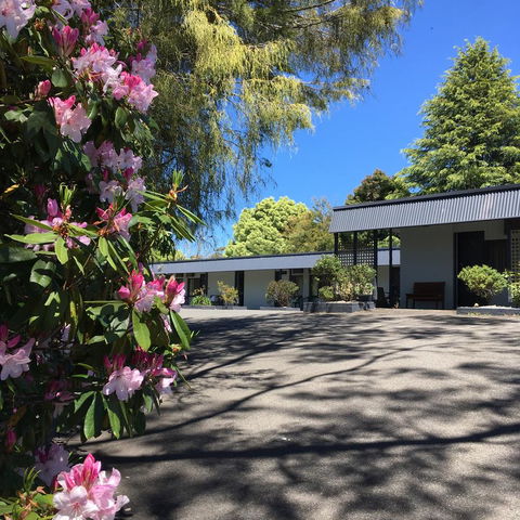 Sky Rider Motor Inn - Tourism Noosa 14