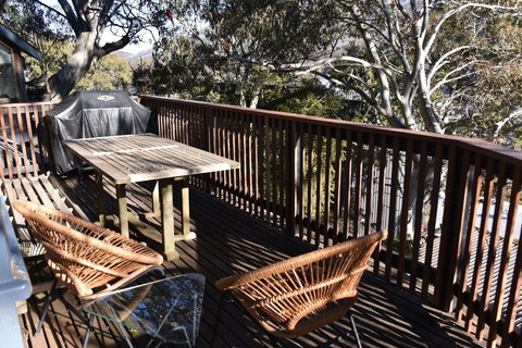 Pure Chalet Thredbo - Tourism Noosa 1