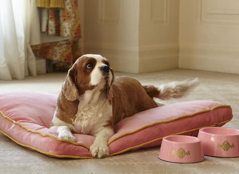 The Langham Sydney - Tourism Noosa 23