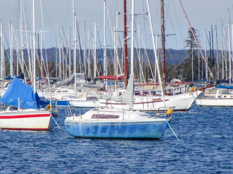 Interlude At Belmont - Tourism Noosa 22