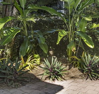 Nineteen on Nudl - Tourism Noosa