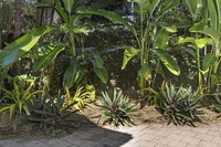 Book Stuart Park Accommodation Vacations Tourism Noosa Tourism Noosa