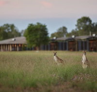 Wildman Wilderness Lodge - Tourism Noosa