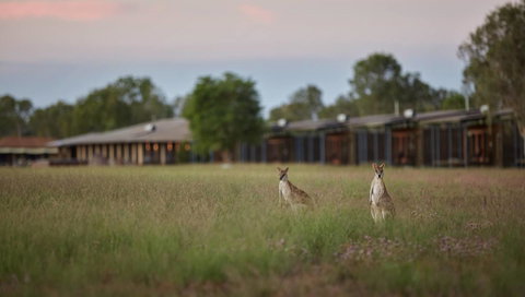 Wildman Wilderness Lodge - Tourism Noosa 0