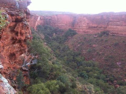 Discovery Resorts - Kings Canyon - Tourism Noosa 34