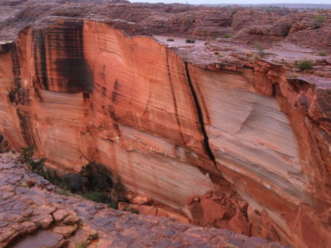 Discovery Resorts - Kings Canyon - Tourism Noosa 36