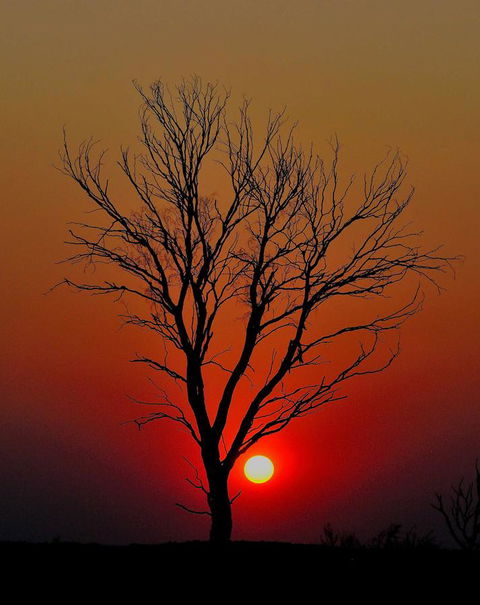 Discovery Resorts - Kings Canyon - Tourism Noosa 43