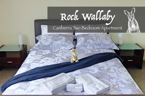 Rock Wallaby - Tourism Noosa 4