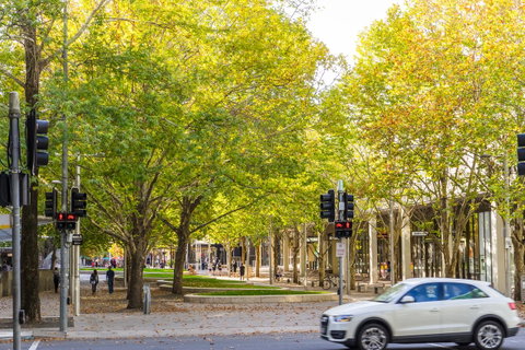 Highgate Executive Apartment City Walk Canberra - Tourism Noosa 37