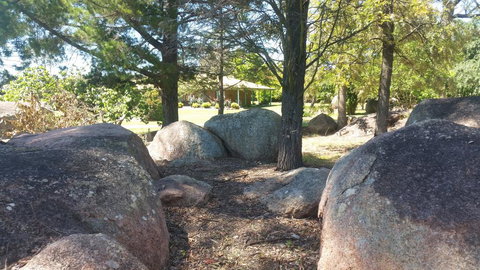 Bonaways - Tourism Noosa 1